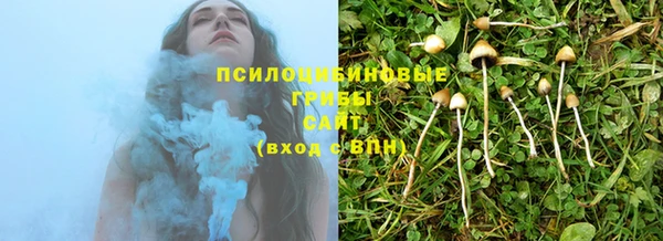 MDMA Белокуриха