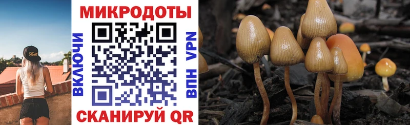 Псилоцибиновые грибы мухоморы  цены   Волосово 